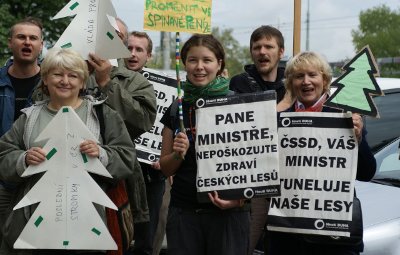 Stovky lidí demonstrovaly proti lesním megatendrům