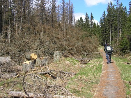 NP Šumava: konec divoké přírody pro turisty