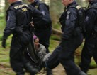 Soud: zásahy policie na Šumavě byly nezákonné
