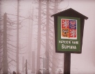Nový ředitel chce, aby Šumava nebyla národním parkem