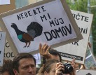Senátní zákon na likvidaci NP Šumava má odezvu:   Celostátní petice ukazuje, že Šumava nepatří jen tisícovce obyvatel NP, ale milionům lidí v ČR