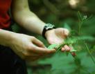 Mezi stromy i v kanceláři – zájemci se naučí, jak lépe chránit naše lesy