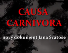 Vlci, rysi a medvědi v české krajině