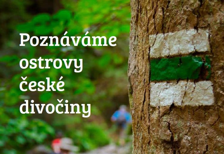Nahlédněte do hájemství české divočiny