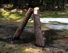 Správa CHKO Šumava protiprávně umožnila stříkat jedovaté pesticidy v Národní přírodní rezervaci Černé a Čertovo jezero