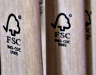 Státní lesy nemají kvalitní certifikát hospodaření, ten poskytuje certifikace FSC, ukazuje nová odborná studie