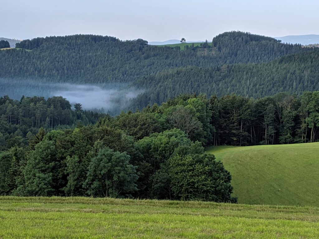 Poslanci se pojedou přesvědčit, jak lze kůrovcové holiny znovu zalesnit zdravým lesem
