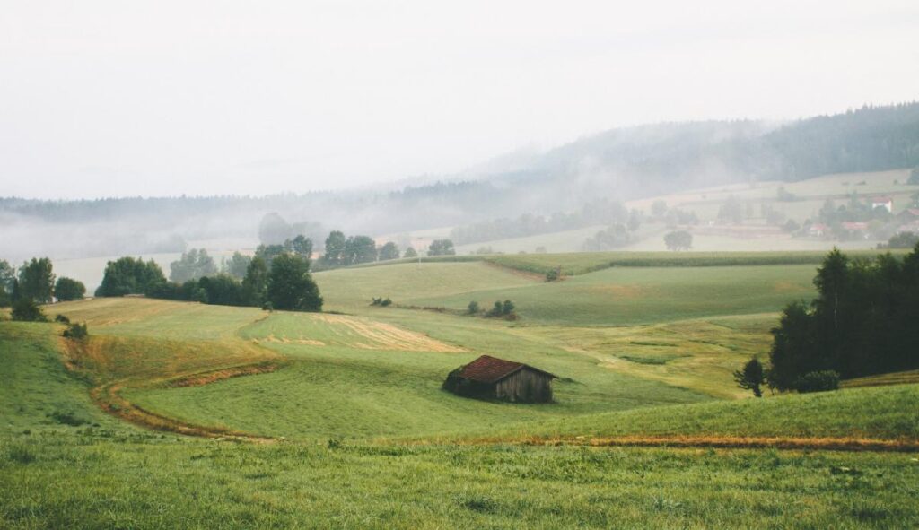 Evropská unie chce podpořit k přírodě šetrné zemědělství. Bude vyžadovat víc mezí, lepší péči o půdu a méně pesticidů.
