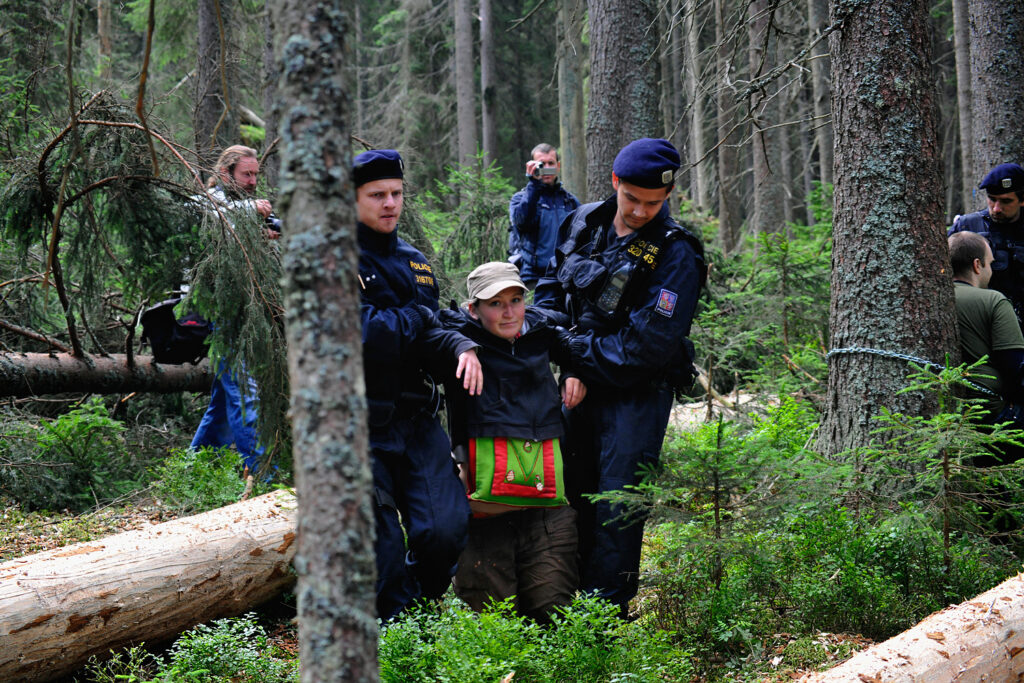 Před 10 lety zabránila občanská blokáda vykácení cenných oblastí NP Šumava