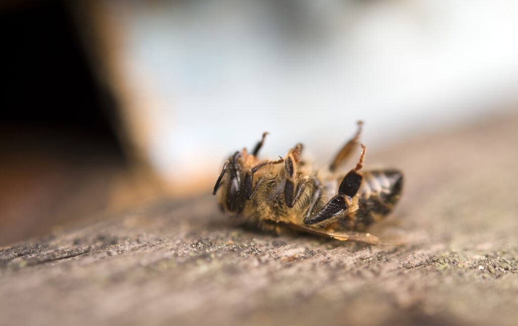 Ministr Nekula riskuje další zhoršení biodiverzity a kvality půdy. Chce odložit zásadní opatření z nové Společné zemědělské politiky