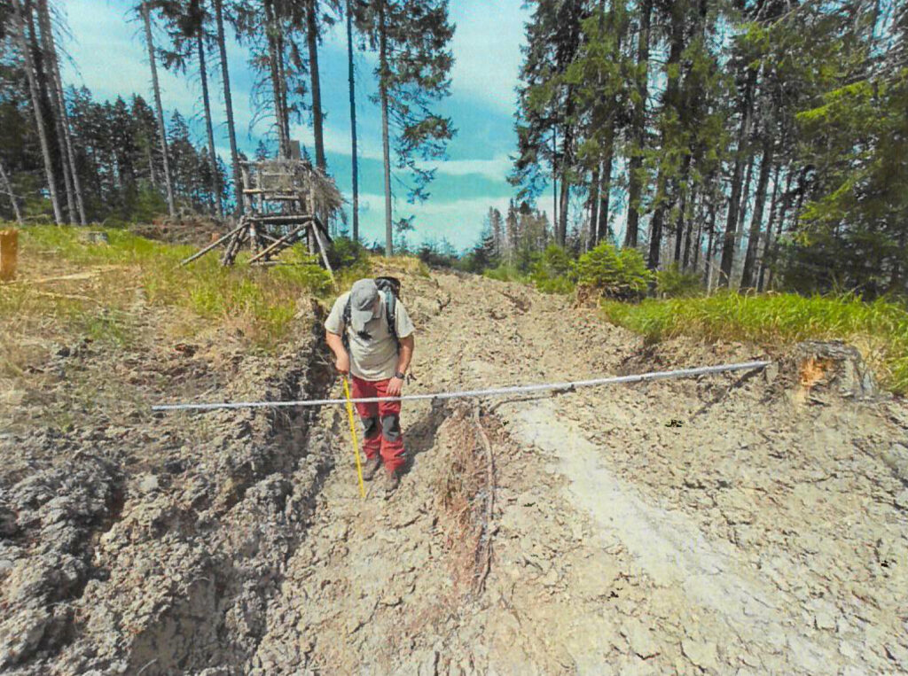 Děsivá devastace lesů v NP Šumava. Správa parku zastavila těžbu a vyšetřuje viníky