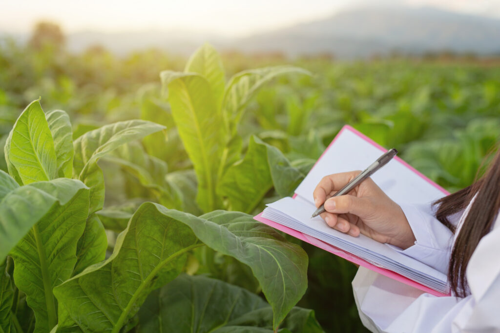 Novela zákona o ochraně zemědělského půdního fondu: lepší ochrana krajiny i rozvoj agrovoltaiky