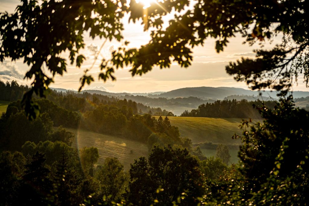 Zasněná fotografie zamlžené kopcovité krajiny plné lesů a strání.